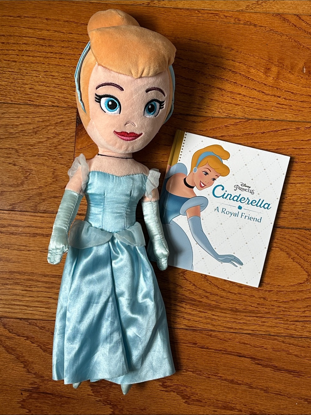 Cinderella stuffy and book